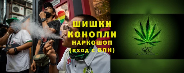 винт Каменка