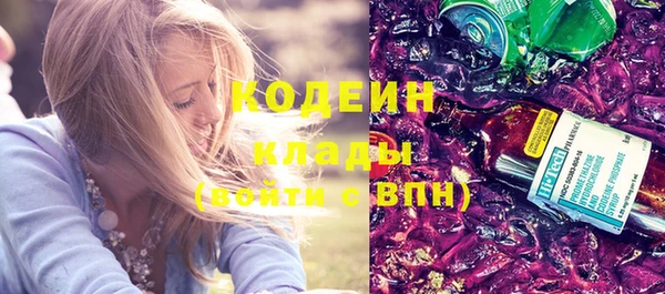 соль ск Каменногорск