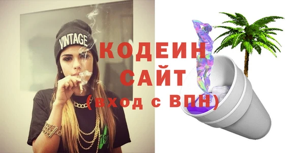 соль ск Каменногорск