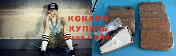 винт Каменка