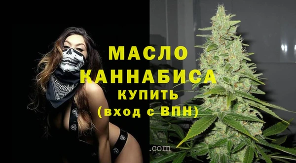 винт Каменка